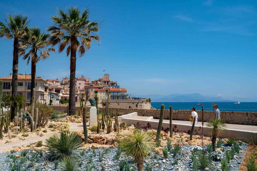 Cosy 3 Pieces Vieil Antibes Proche Port Vauban Apartment Bagian luar foto
